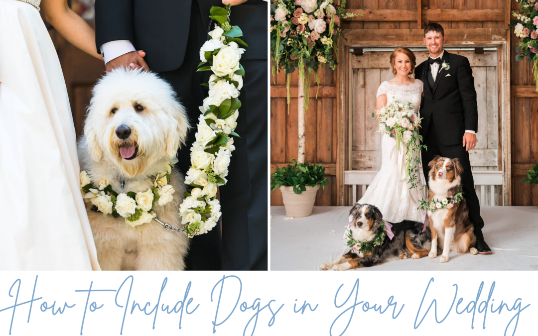 How to Include Your Dog In Your Wedding Day