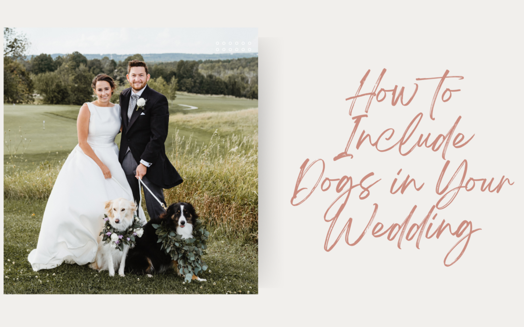 How to Include Your Dog in Your Wedding